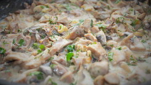 жюльен из индейки и грибов